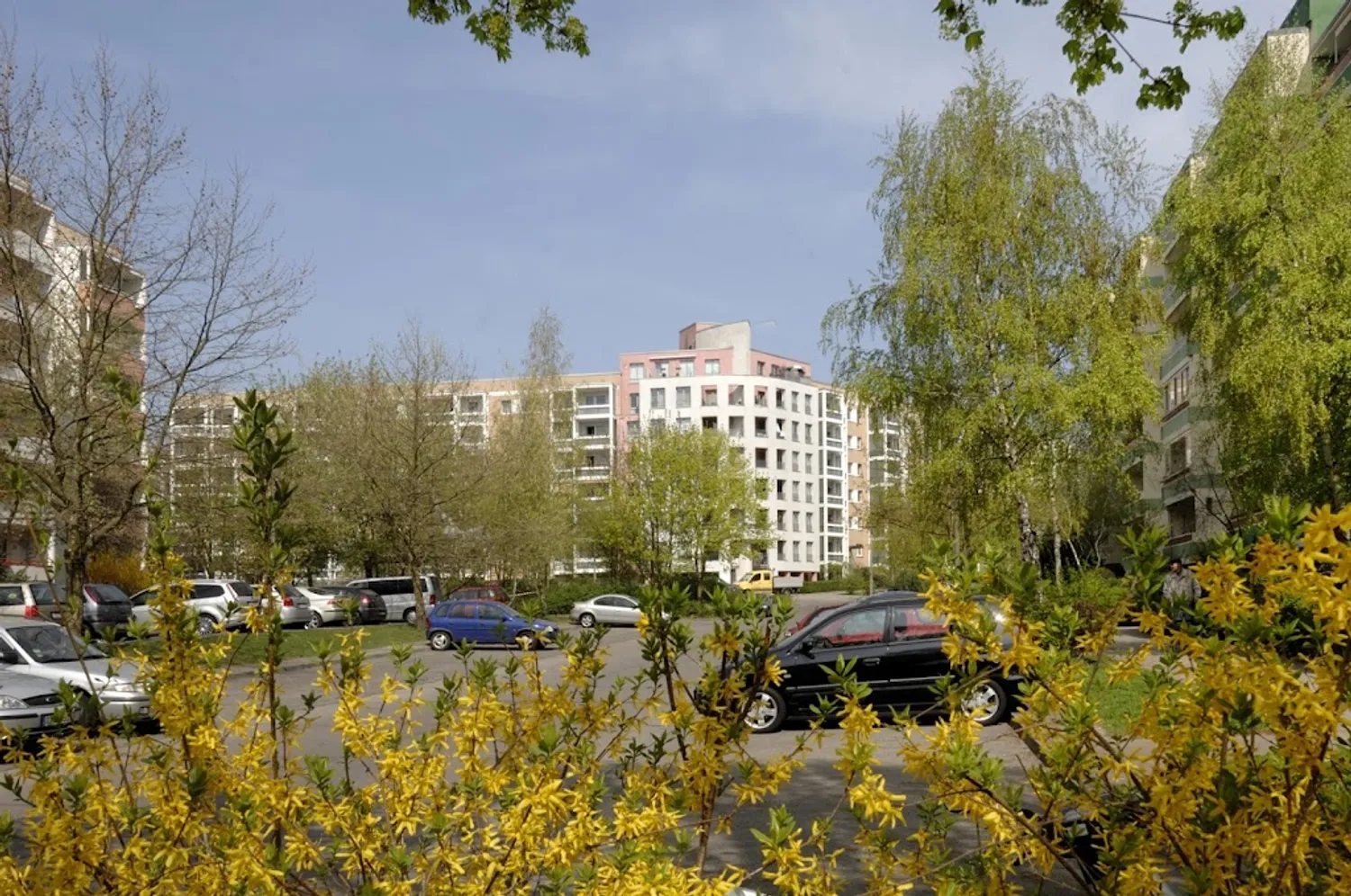 3 Zimmer Wohnung mit 81 m² in Berlin – Bild 3