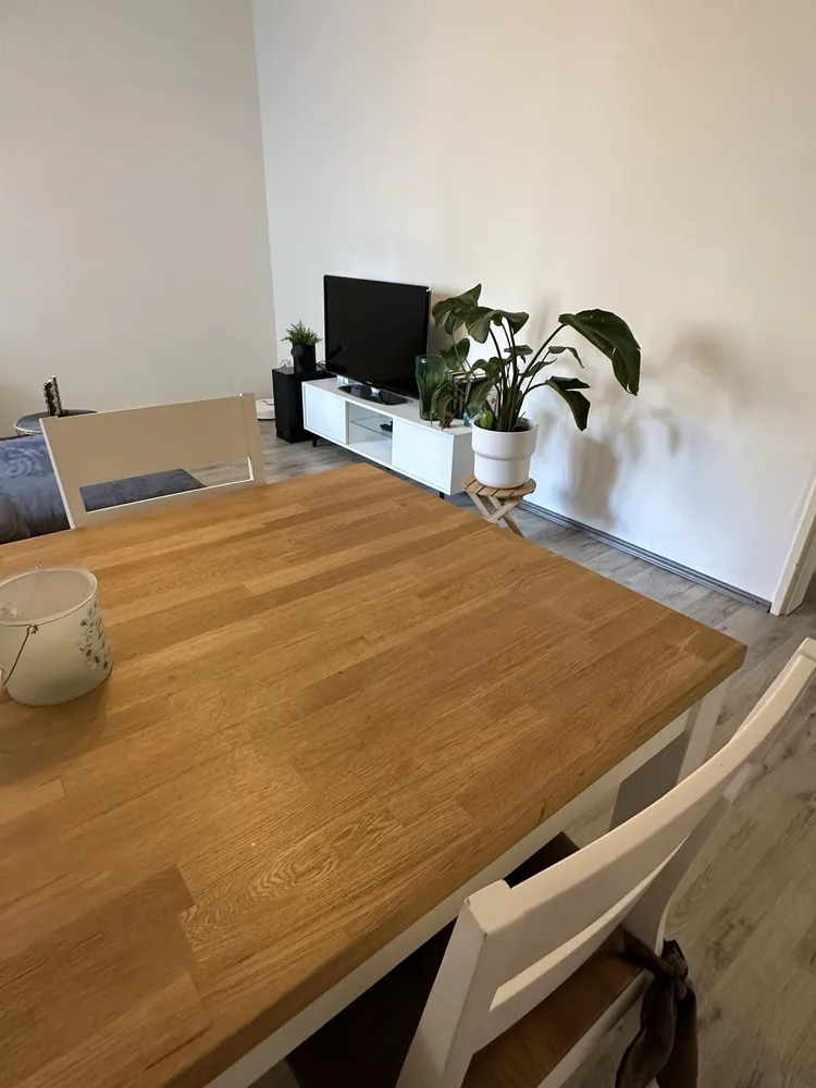 2 Zimmer Wohnung mit 57 m² in Ludwigshafen am Rhein – Bild 3