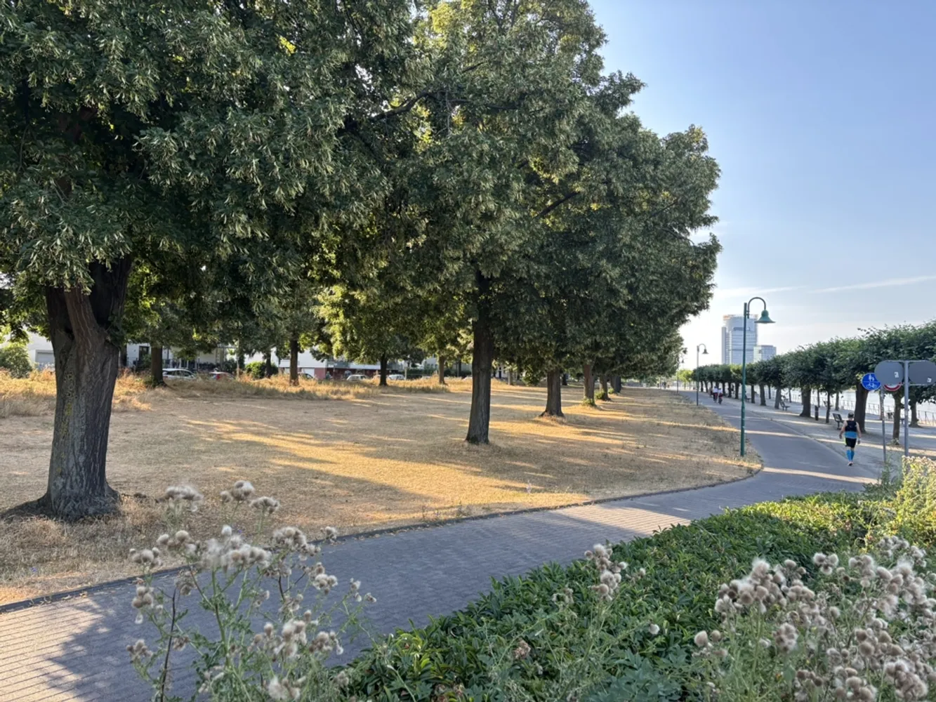3 Zimmer Wohnung mit 85 m² in Bonn – Bild 8