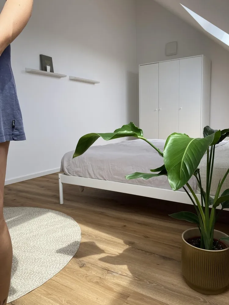 WG-Zimmer mit 17 m² in Augsburg – Bild 2
