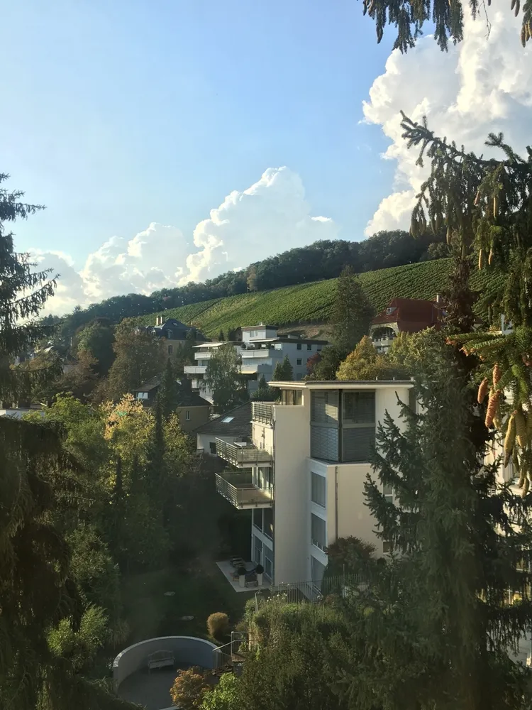 2 Zimmer Wohnung mit 70 m² in Wiesbaden – Bild 9