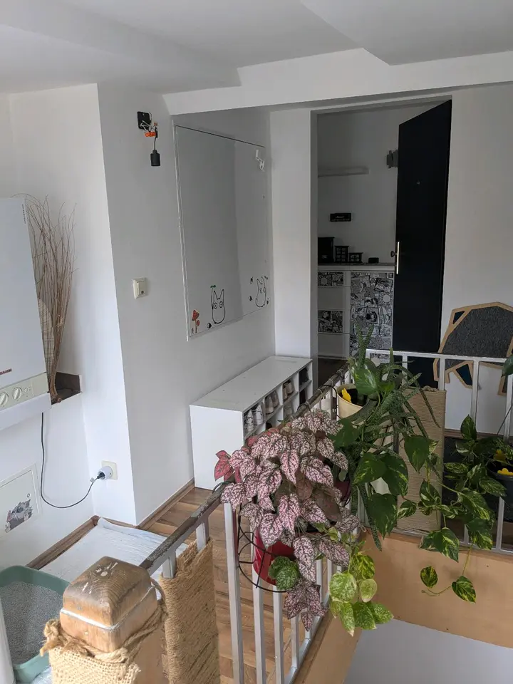 2 Zimmer Wohnung mit 55 m² in Merseburg – Bild 3