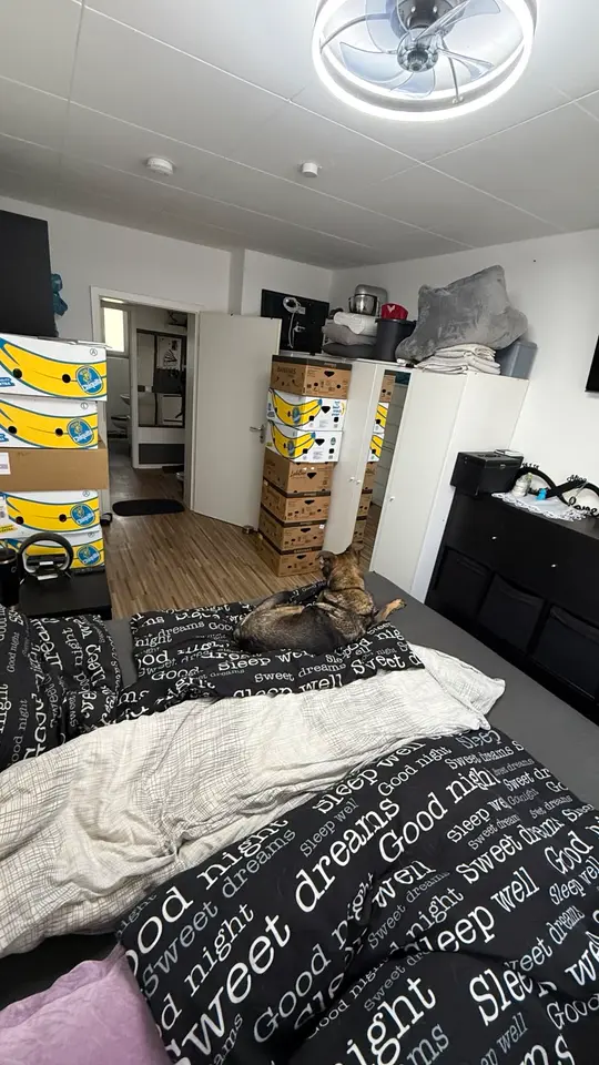 2 Zimmer Wohnung mit 51 m² in Dortmund – Bild 2