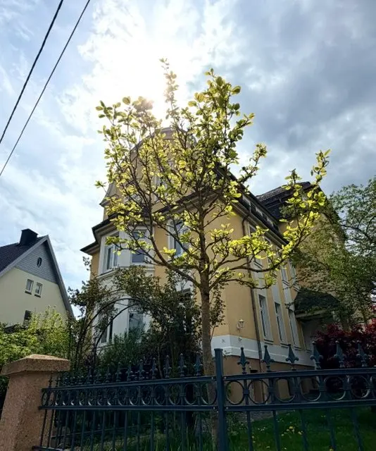 4 Zimmer Wohnung mit 100 m² in Eisenach – Bild 7