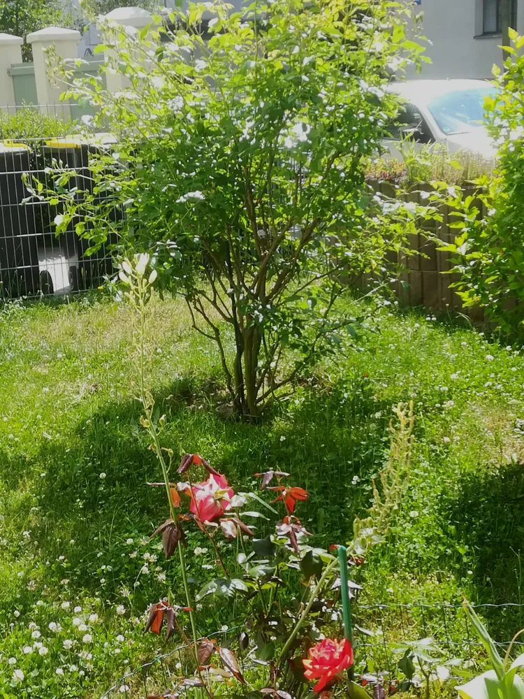 2 Zimmer Wohnung mit 74 m² in Leipzig – Bild 6