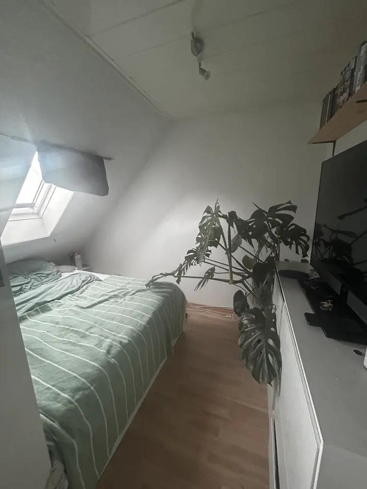 WG-Zimmer mit 17 m² in Paderborn – Bild 8
