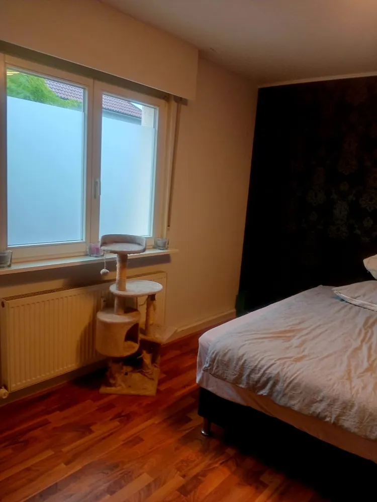 2 Zimmer Wohnung mit 60 m² in Offenbach am Main – Bild 2