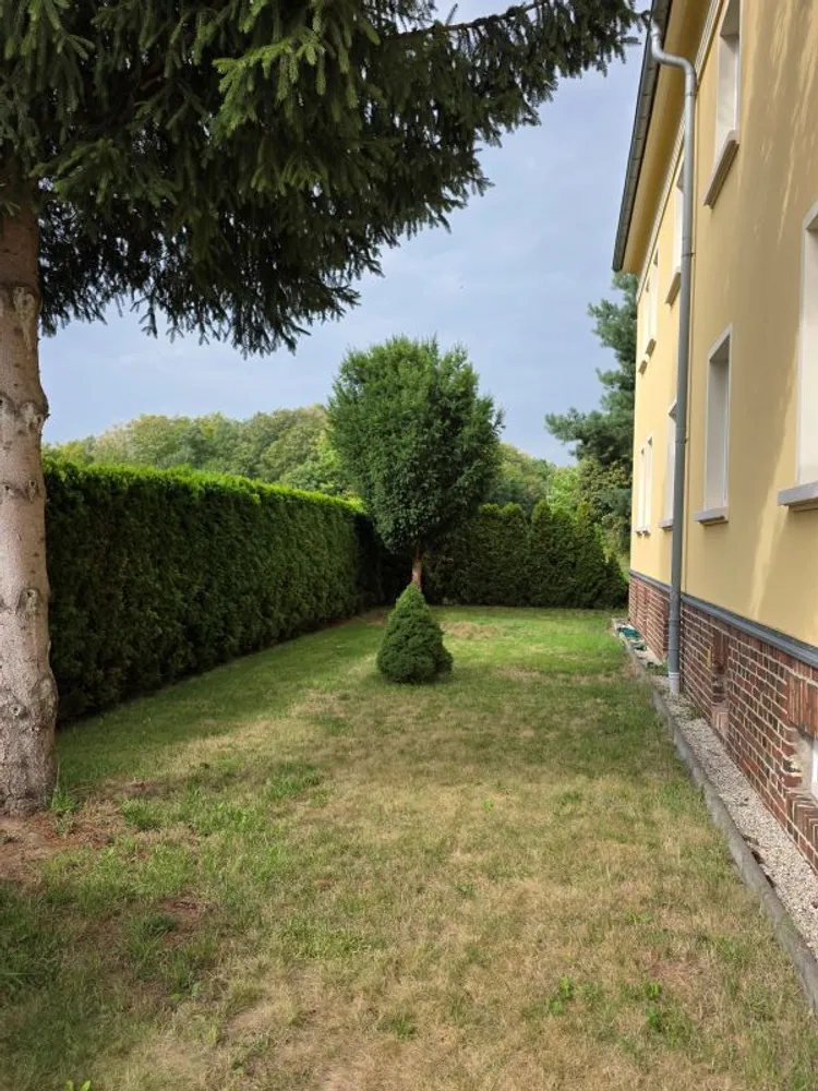 3 Zimmer Wohnung mit 60 m² in Dresden – Bild 5