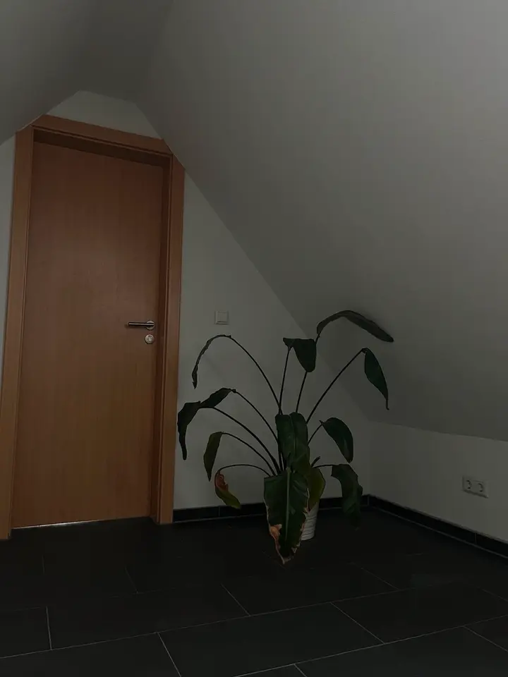 WG-Zimmer mit 18 m² in Schwäbisch Gmünd – Bild 6