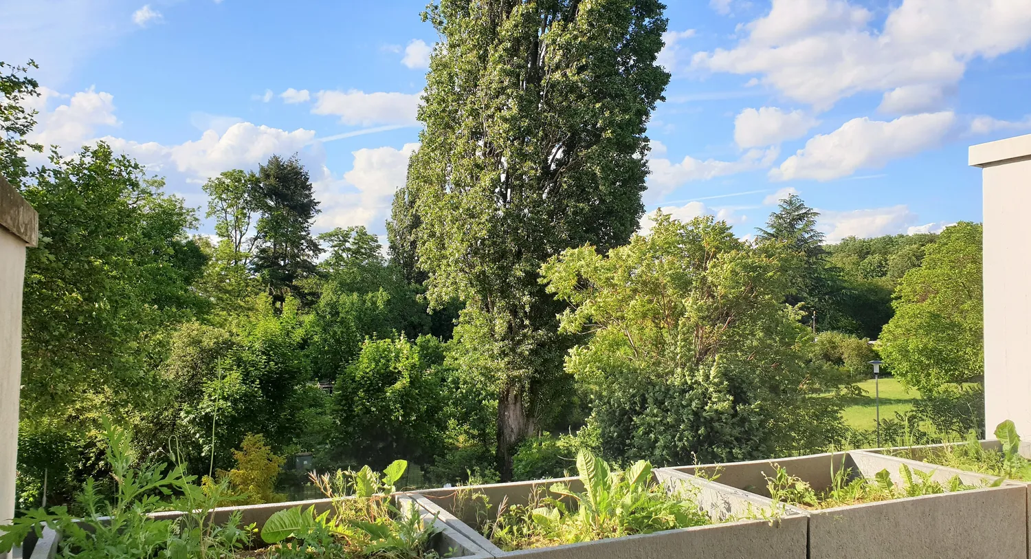 1 Zimmer Wohnung mit 37 m² in Darmstadt – Bild 4