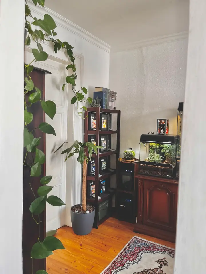 3 Zimmer Wohnung mit 50 m² in Lübeck – Bild 1