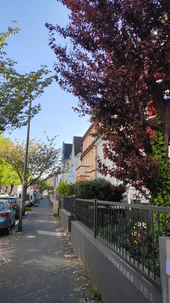 4 Zimmer Wohnung mit 107 m² in Bochum – Bild 2