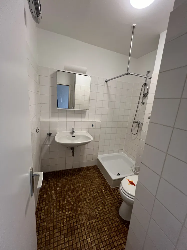 1 Zimmer Wohnung mit 17 m² in Mainz – Bild 6