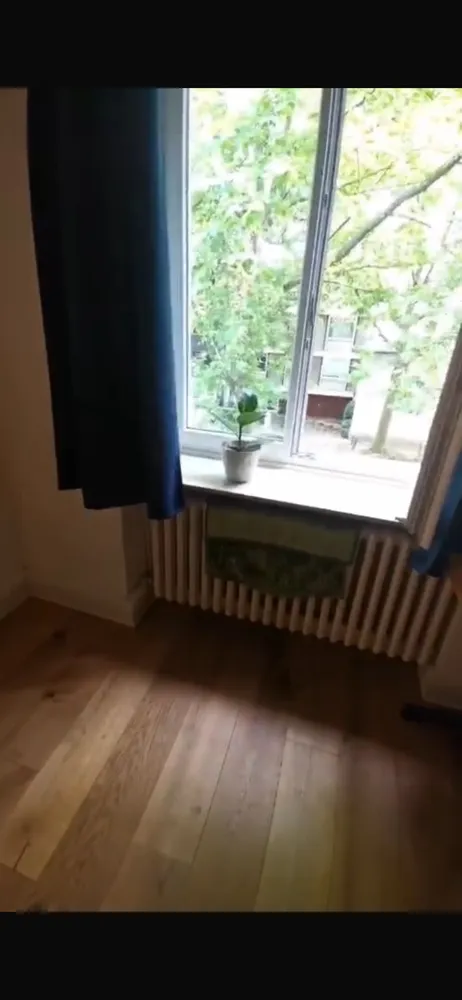 1 Zimmer Wohnung mit 20 m² in Bonn – Bild 4