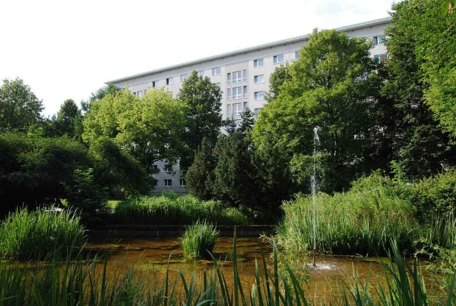 2 room apartment with 61 m² in Chemnitz – Photo 4