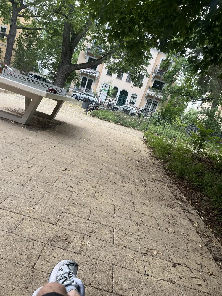 3 Zimmer Wohnung mit 65 m² in Dresden – Bild 1