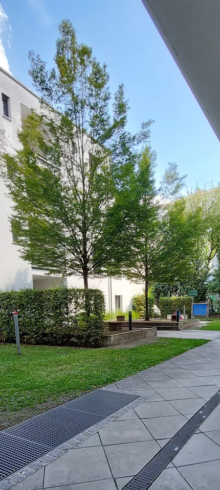 3 Zimmer Wohnung mit 81 m² in München – Bild 12