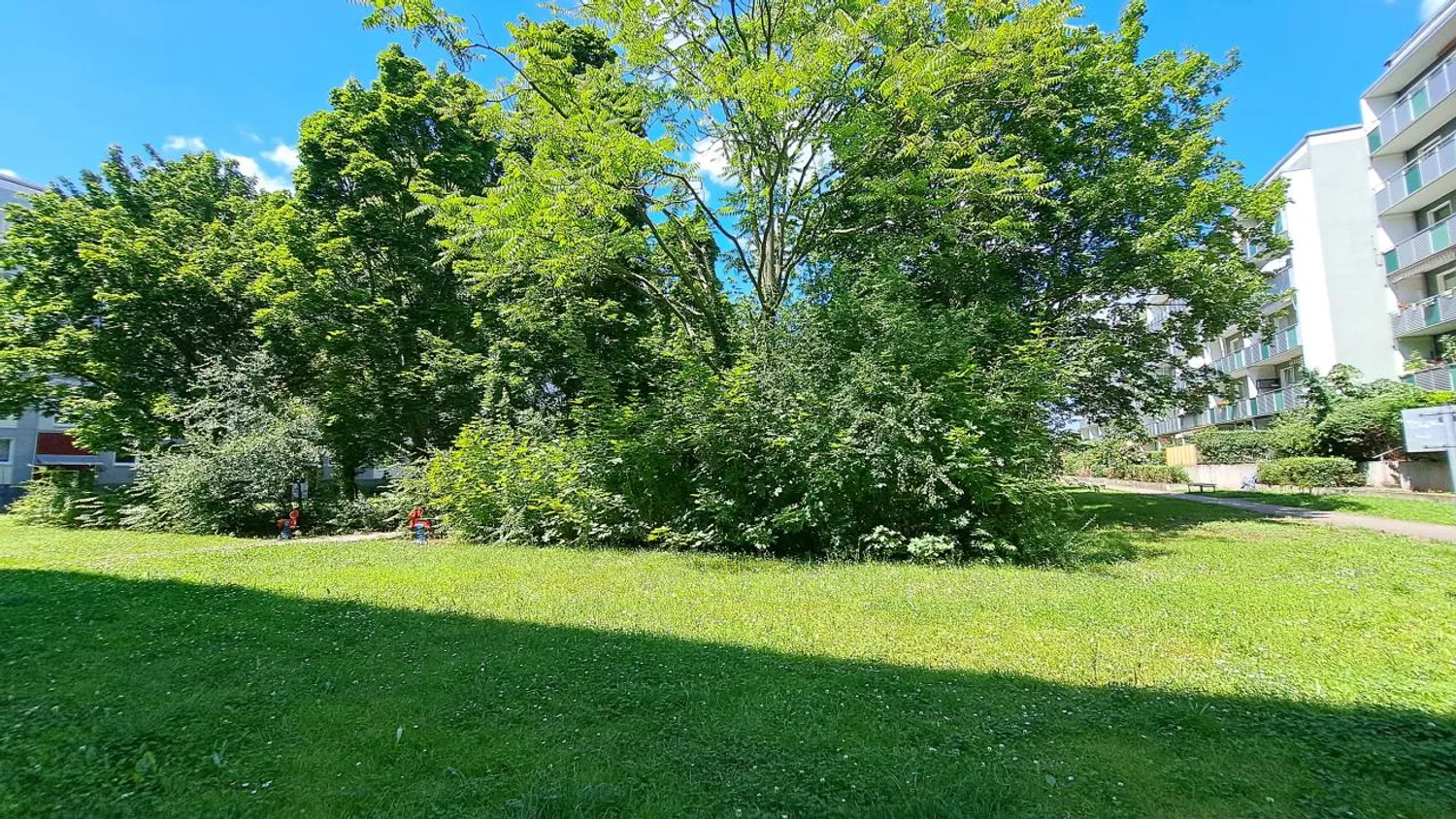 2 Zimmer Wohnung mit 56 m² in Magdeburg – Bild 2