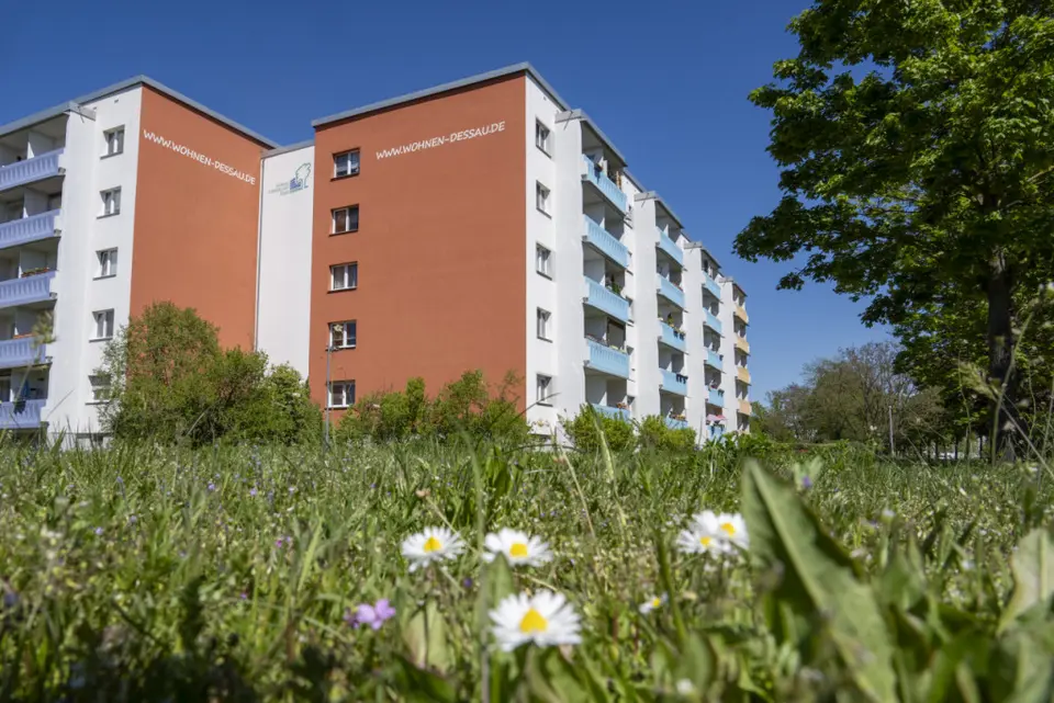 3 Zimmer Wohnung mit 56 m² in Dessau-Roßlau – Bild 1