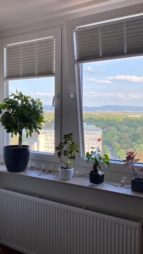 3 Zimmer Wohnung mit 97 m² in Mannheim – Bild 9