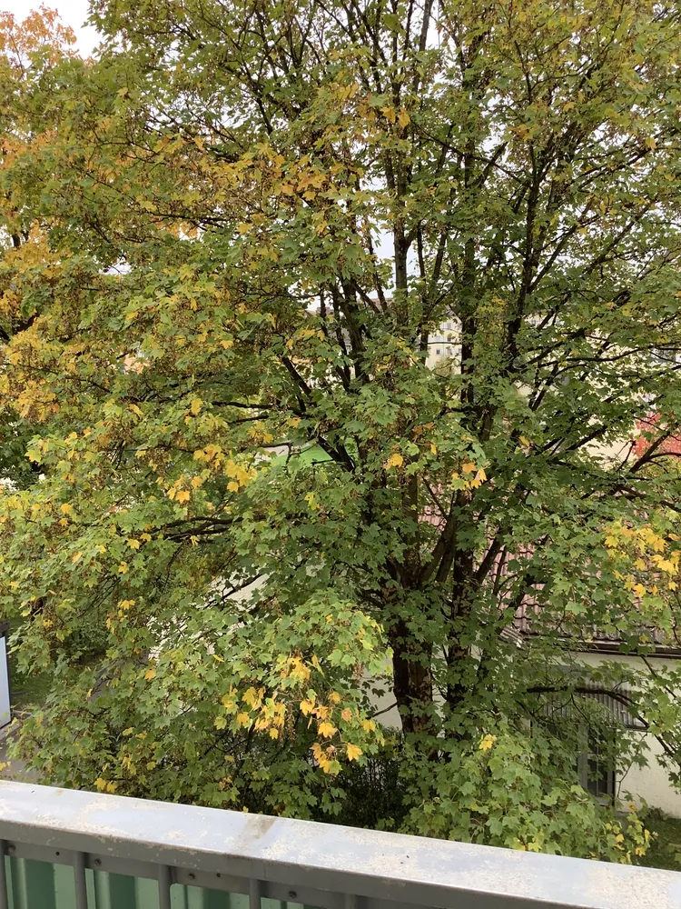 4 room apartment with 83 m² in Munich – Photo 7