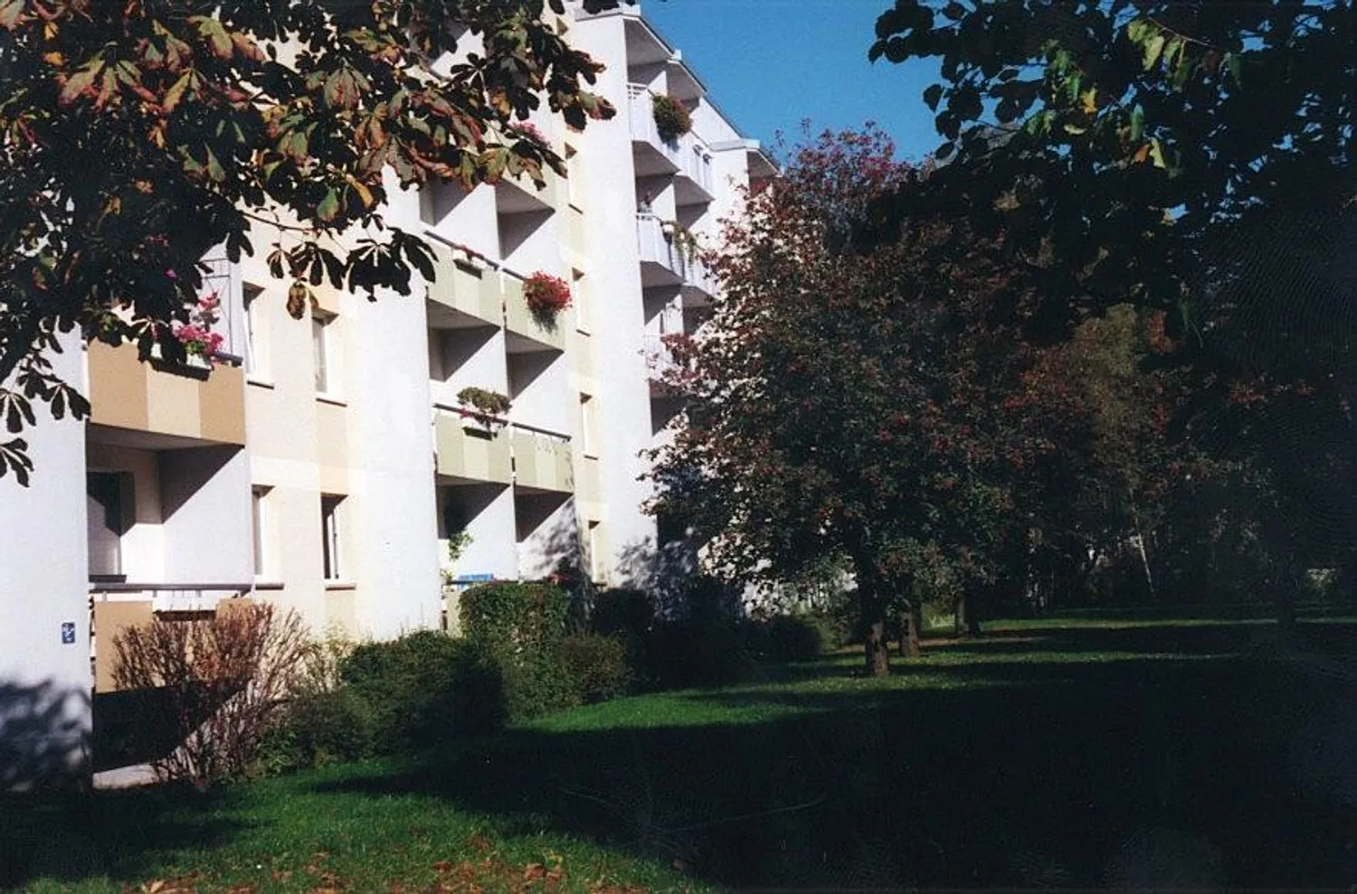3 Zimmer Wohnung mit 60 m² in Magdeburg – Bild 3