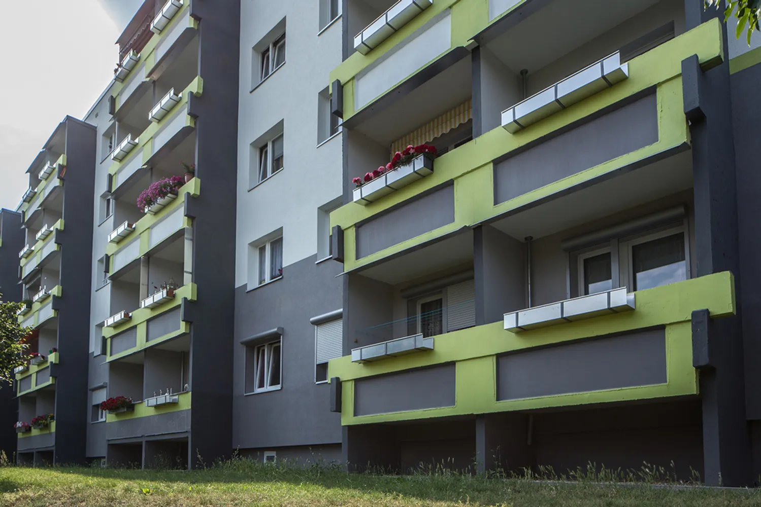 2 Zimmer Wohnung mit 50 m² in Halle (Saale) – Bild 2
