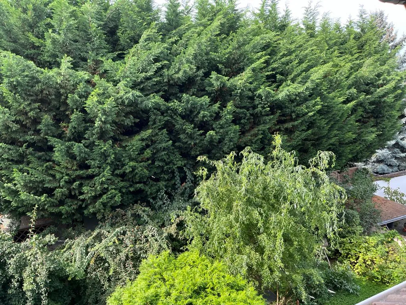 2 Zimmer Wohnung mit 87 m² in Bonn – Bild 10