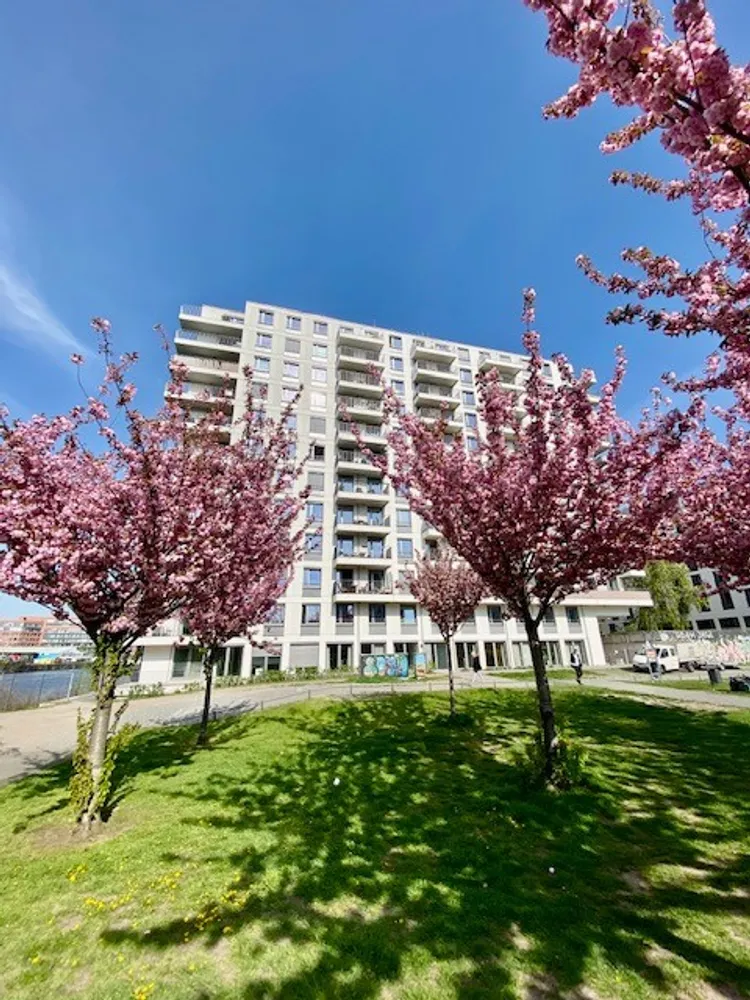 2 Zimmer Wohnung mit 58 m² in Berlin – Bild 1