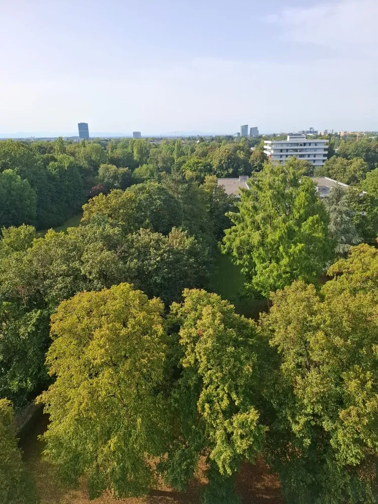 1 Zimmer Wohnung mit 34 m² in München – Bild 1