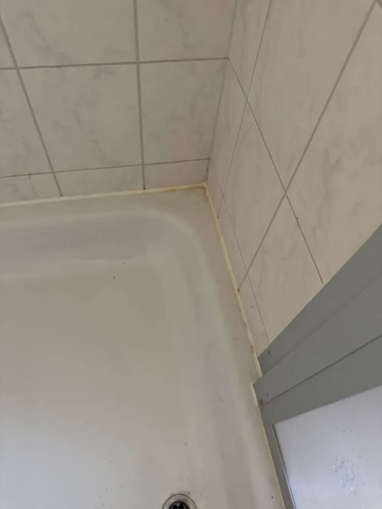 2 room apartment with 45 m² in Magdeburg – Photo 8