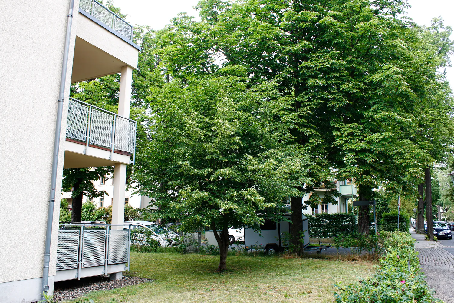 3 Zimmer Wohnung mit 76 m² in Dresden – Bild 12