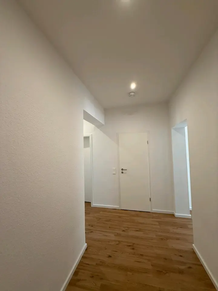 WG-Zimmer mit 11 m² in Dresden – Bild 3