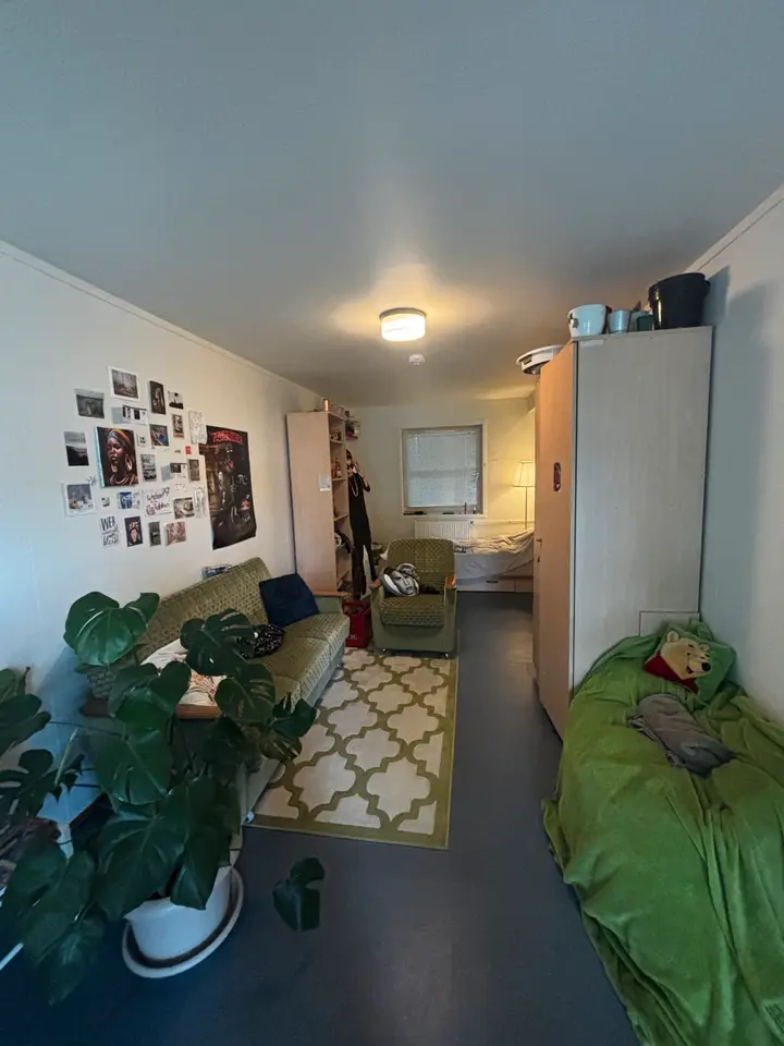 WG-Zimmer mit 19 m² in Stralsund – Bild 1