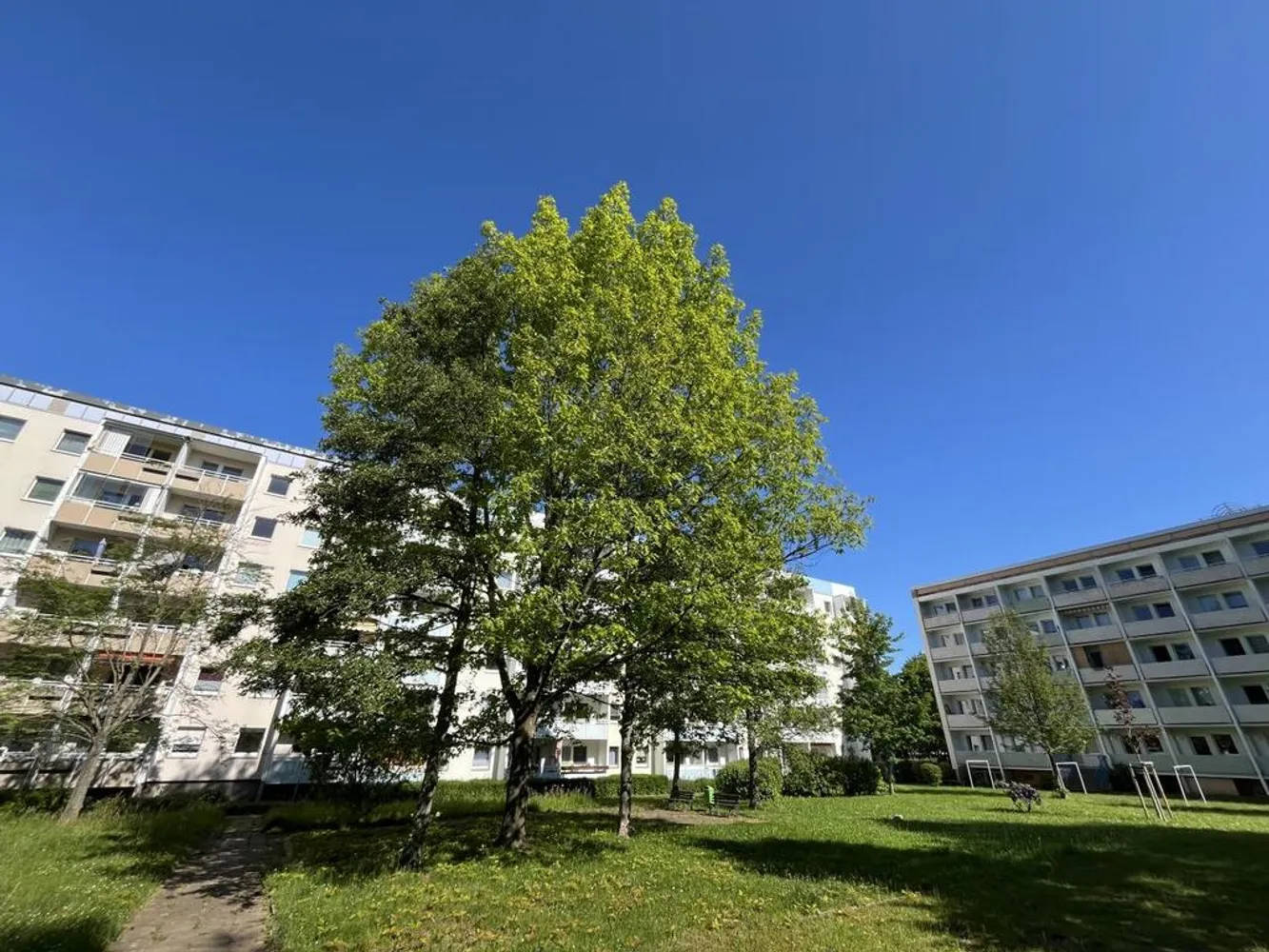 3 room apartment with 69 m² in Chemnitz – Photo 6
