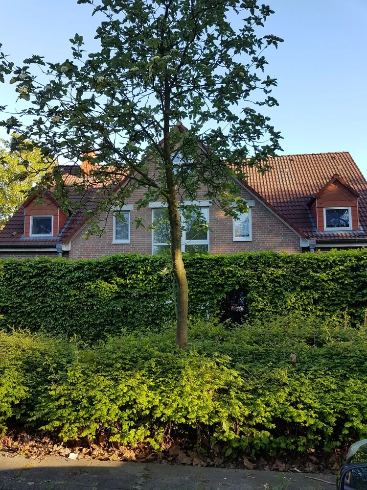 1 Zimmer Wohnung mit 28 m² in Münster – Bild 2