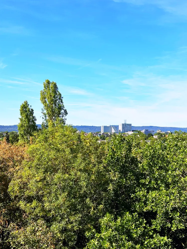 2 Zimmer Wohnung mit 51 m² in Wiesbaden – Bild 2