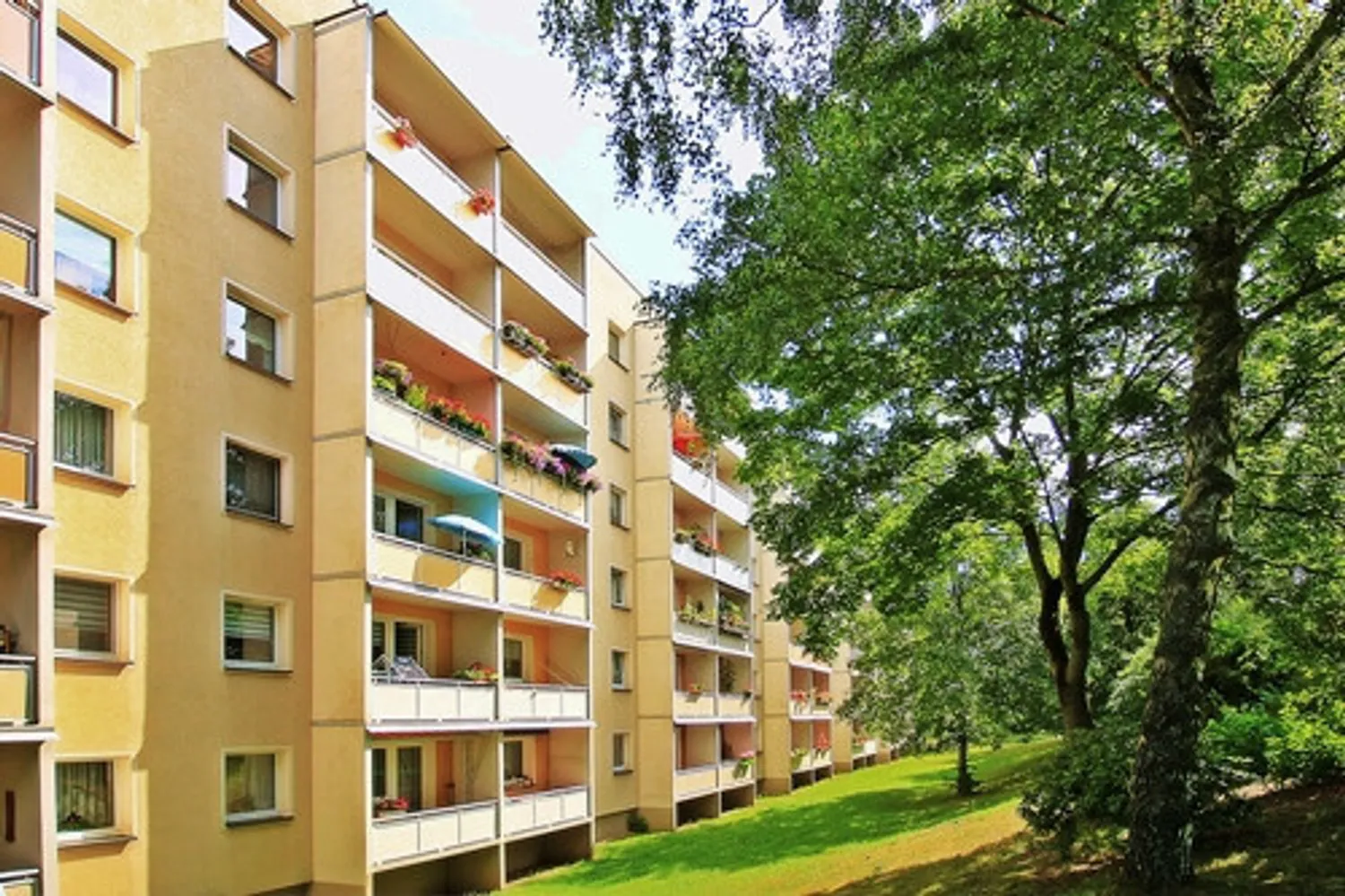 3 Zimmer Wohnung mit 57 m² in Zwickau – Bild 1