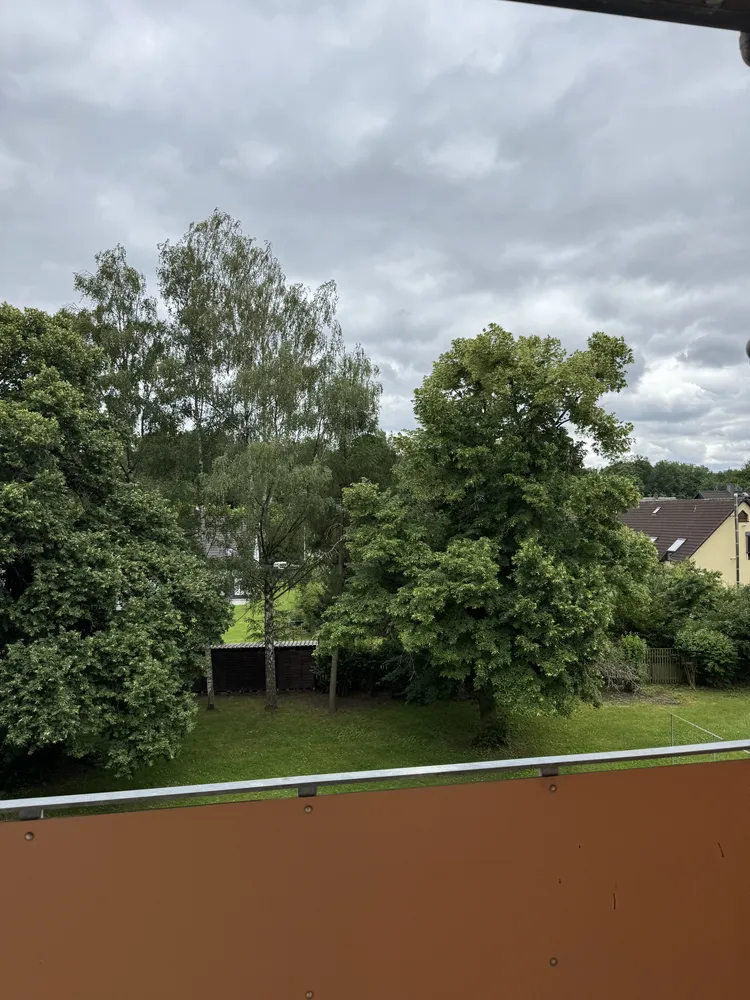 2 room apartment with 55 m² in Chemnitz – Photo 3