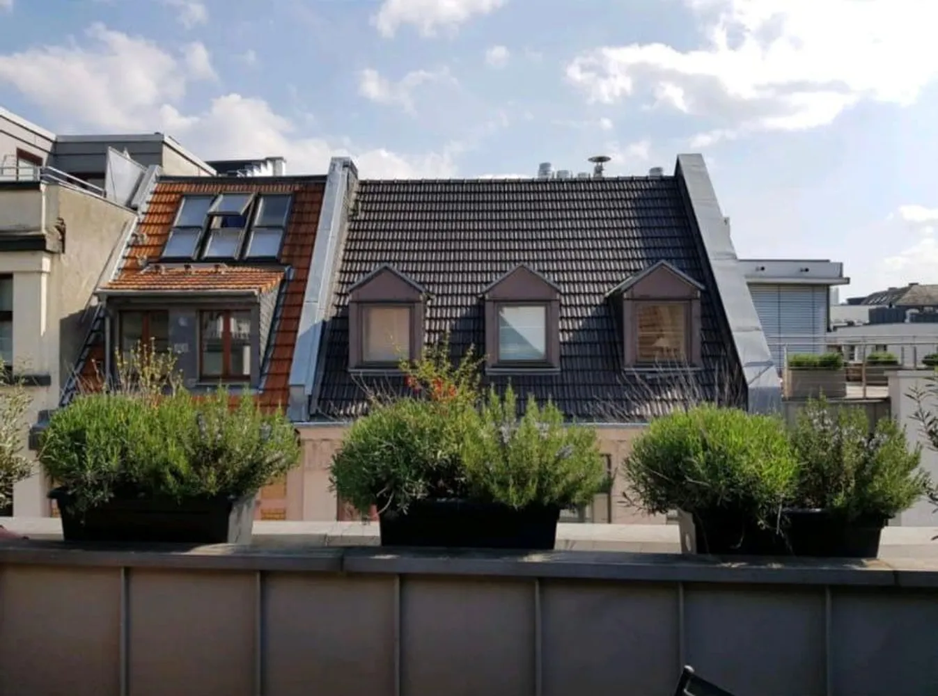 3 Zimmer Wohnung mit 83 m² in Köln – Bild 1