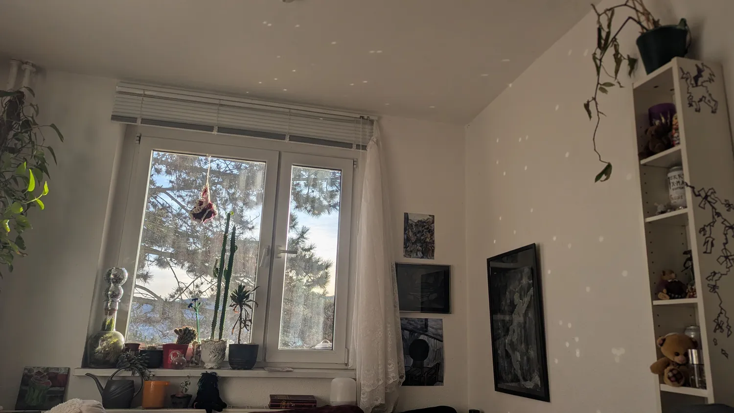 1 room apartment with 12 m² in Jena – Photo 2