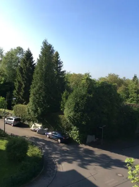 5 Zimmer Wohnung mit 125 m² in Wiesbaden – Bild 6