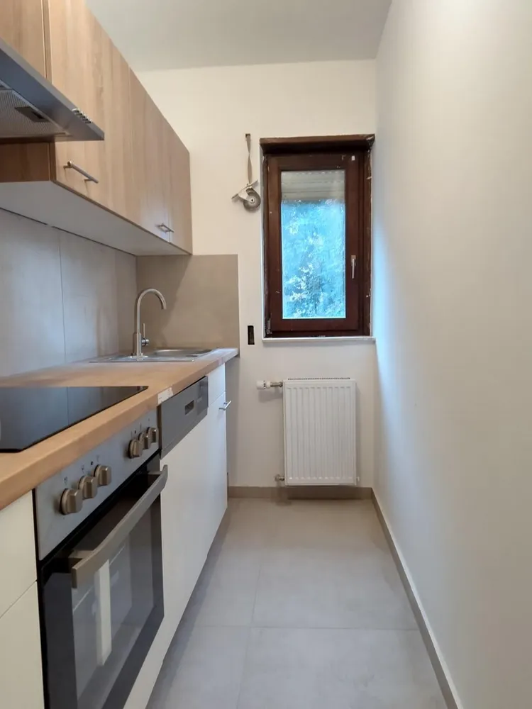 2 Zimmer Wohnung mit 45 m² in Ludwigshafen am Rhein – Bild 1