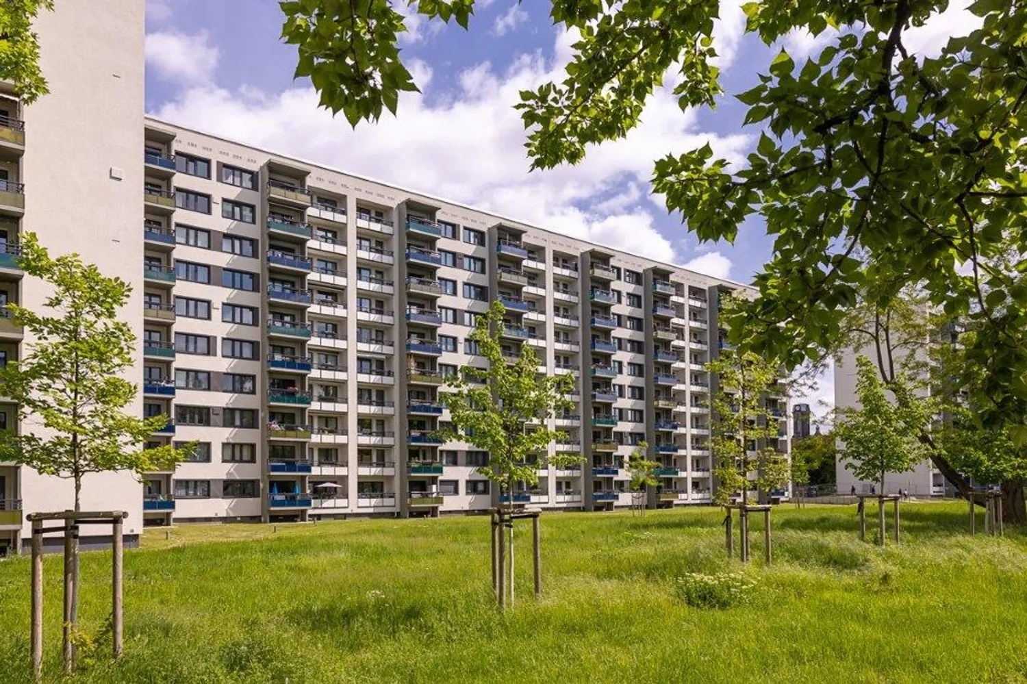 2 Zimmer Wohnung mit 51 m² in Dresden – Bild 1