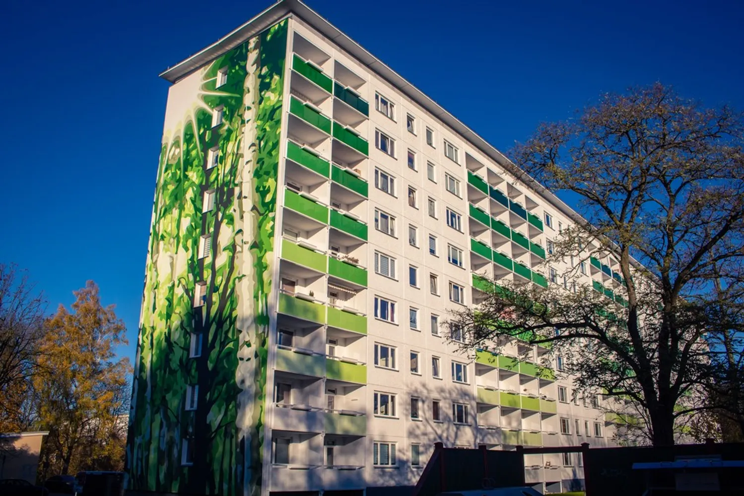2 Zimmer Wohnung mit 46 m² in Chemnitz – Bild 4