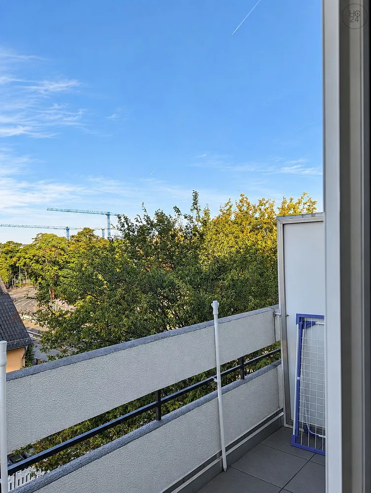 1 Zimmer Wohnung mit 29 m² in Wiesbaden – Bild 1