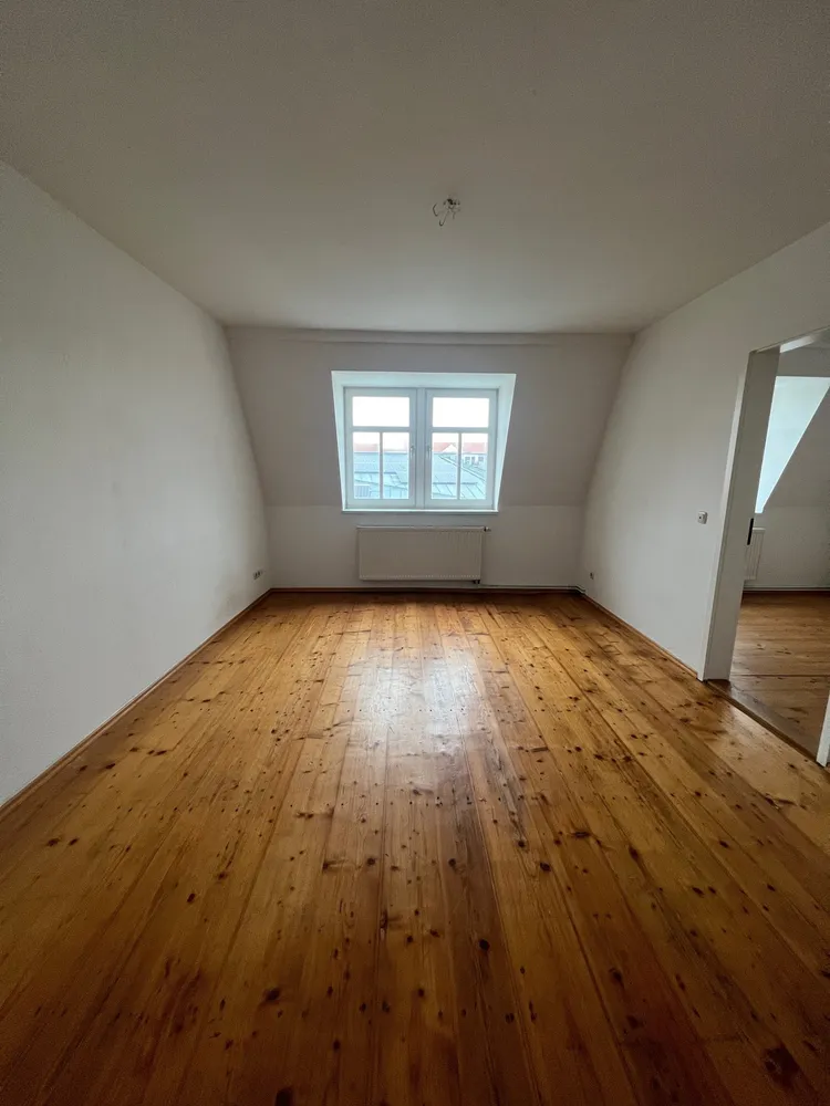 2 Zimmer Wohnung mit 52 m² in Dresden – Bild 2