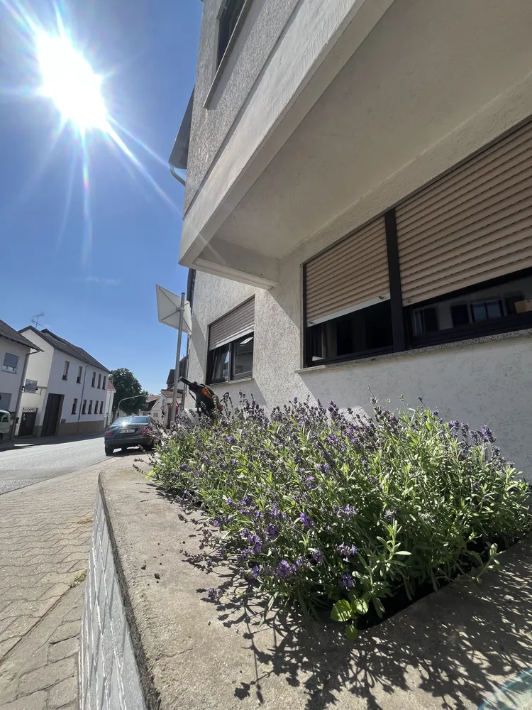 2 Zimmer Wohnung mit 64 m² in Mainz – Bild 9