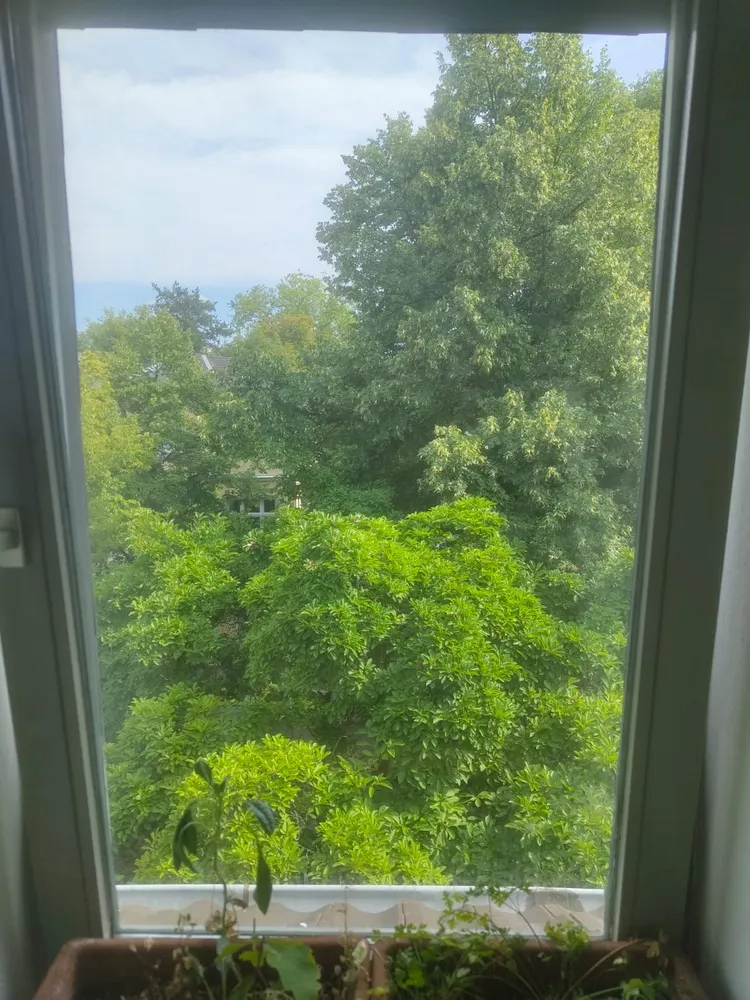2 Zimmer Wohnung mit 45 m² in Bonn – Bild 9