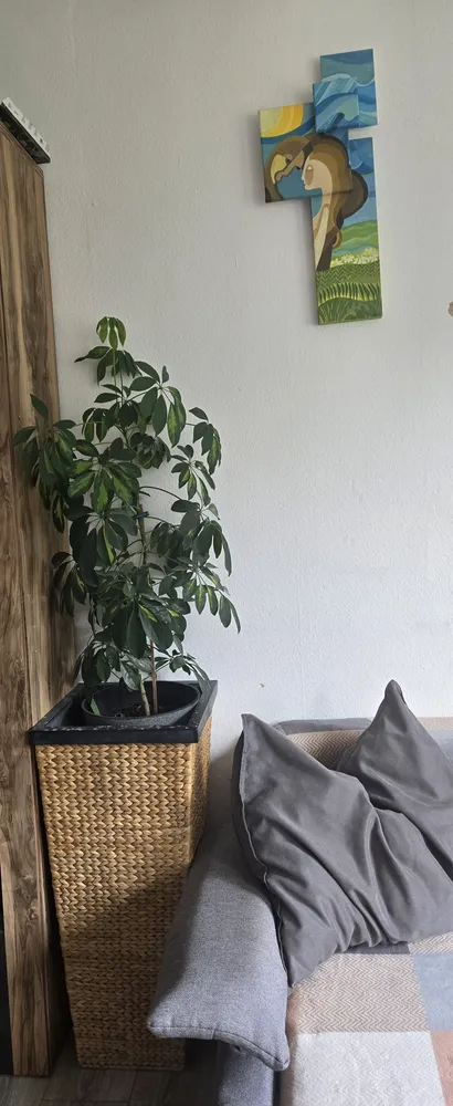 2 Zimmer Wohnung mit 50 m² in Ravensburg – Bild 2